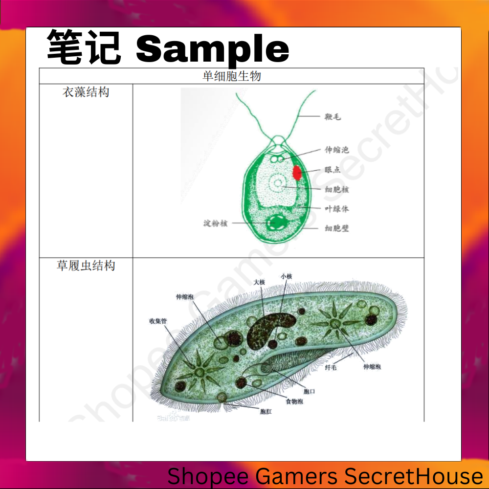 [初中] 科学笔记 | 初一完整版